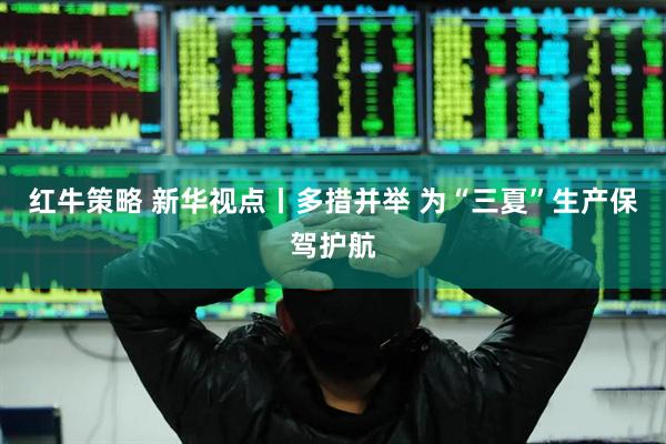 红牛策略 新华视点丨多措并举 为“三夏”生产保驾护航