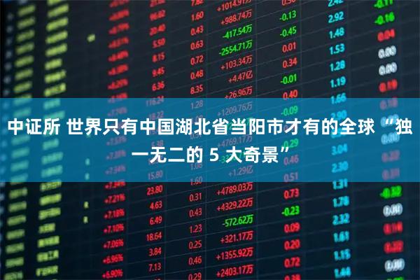 中证所 世界只有中国湖北省当阳市才有的全球 “独一无二的 5 大奇景”