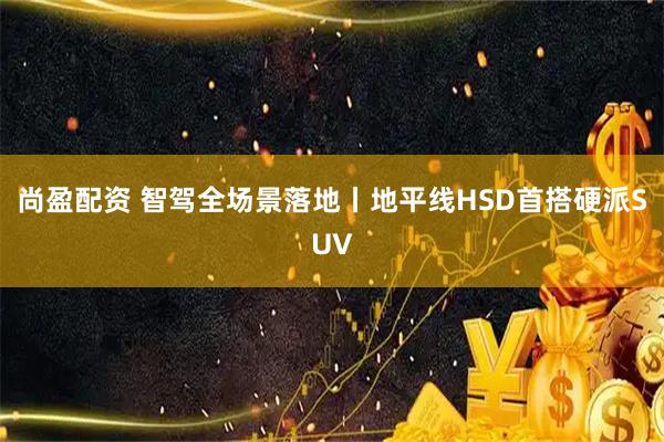 尚盈配资 智驾全场景落地丨地平线HSD首搭硬派SUV